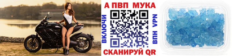 как найти закладки  omg как зайти  Alpha PVP СК  Бирюсинск 